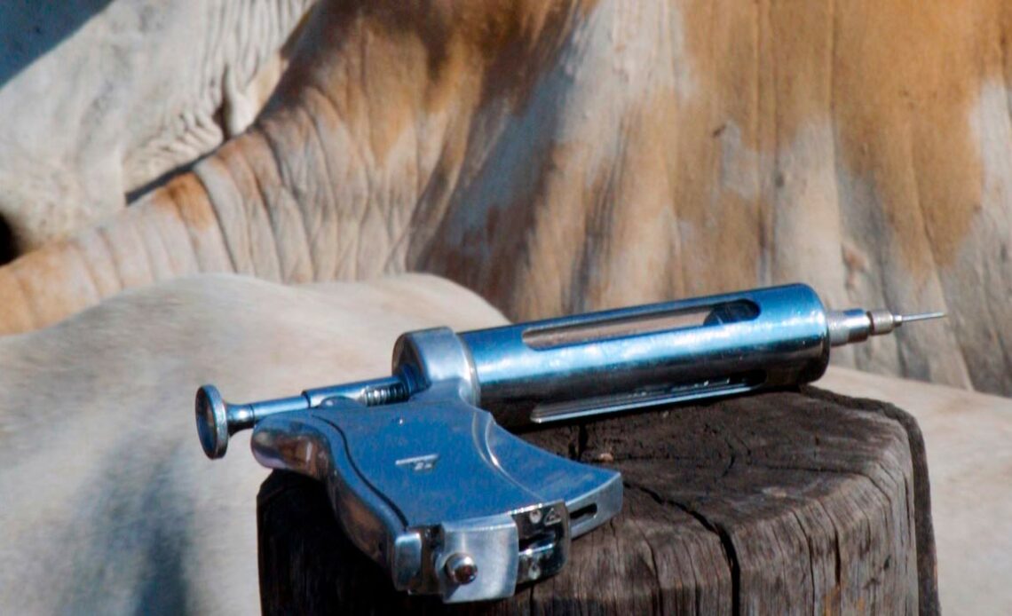 Pistola de vacinação sobre o moirão com gado ao fundo no curral