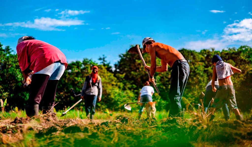 Agricultores no trabalho