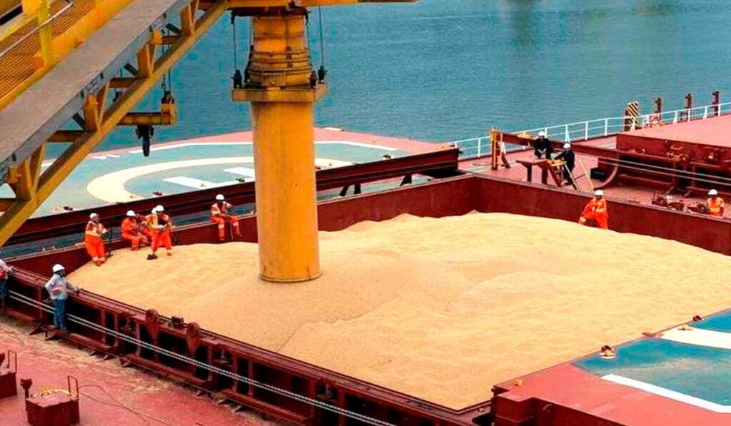 Exportação de grãos da Amaggi