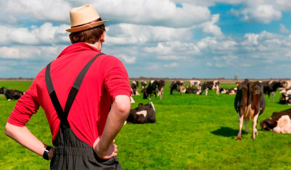 Criador supervisionando suas vacas no piquete