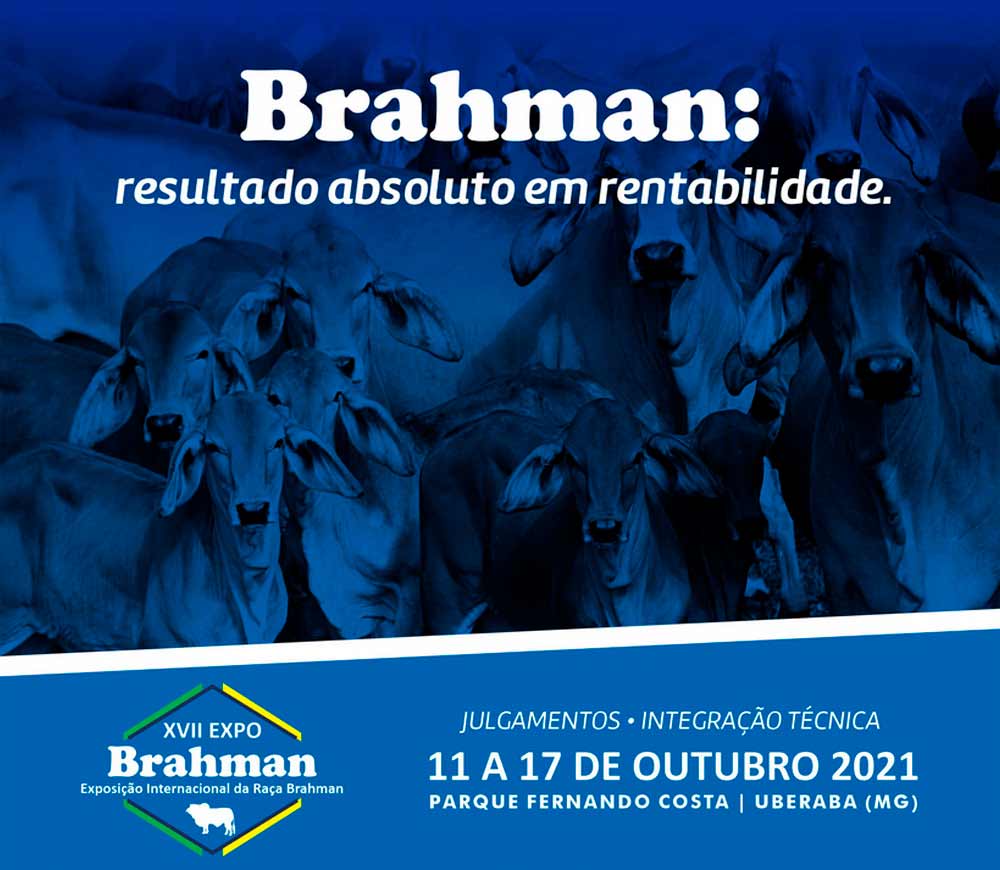 Chamada para a Expobrahman 2021