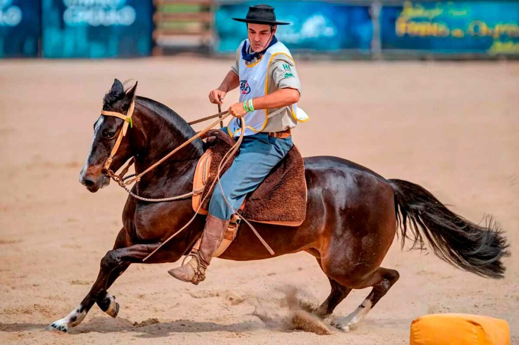 A égua campeã Na Lua do Ouriço