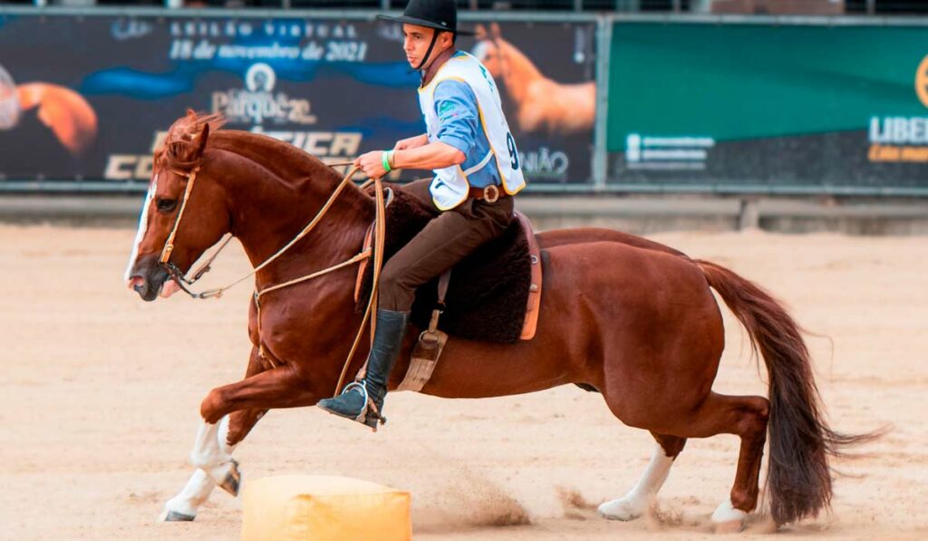 O cavalo campeão Justiceiro do Mano a Mano