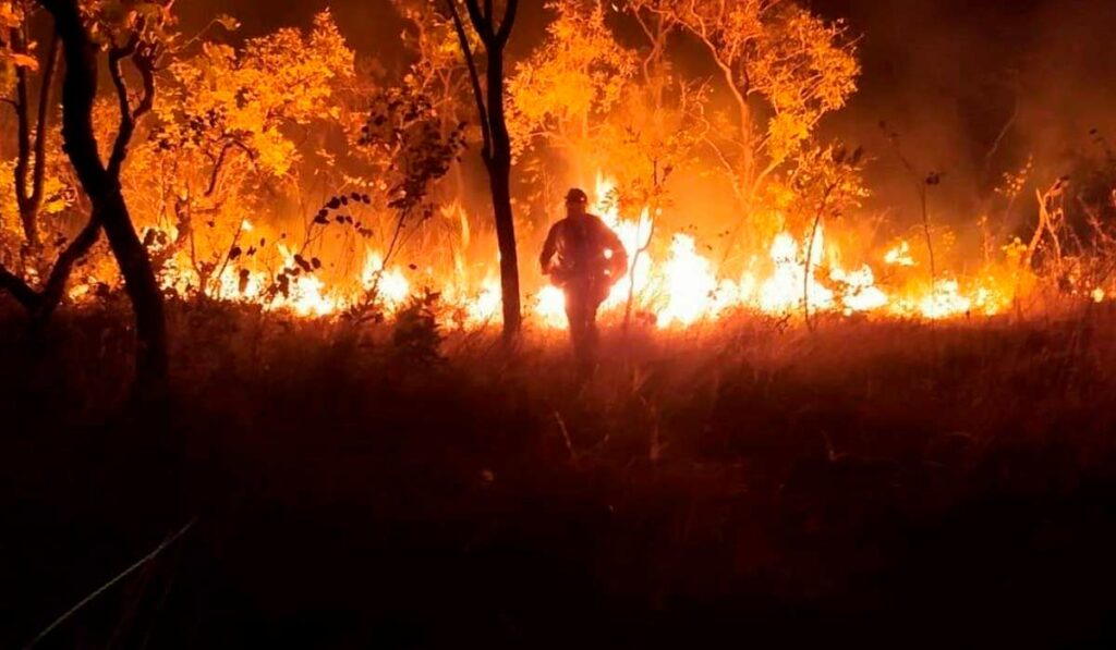 Incêndio na Chapada dos Veadeiros