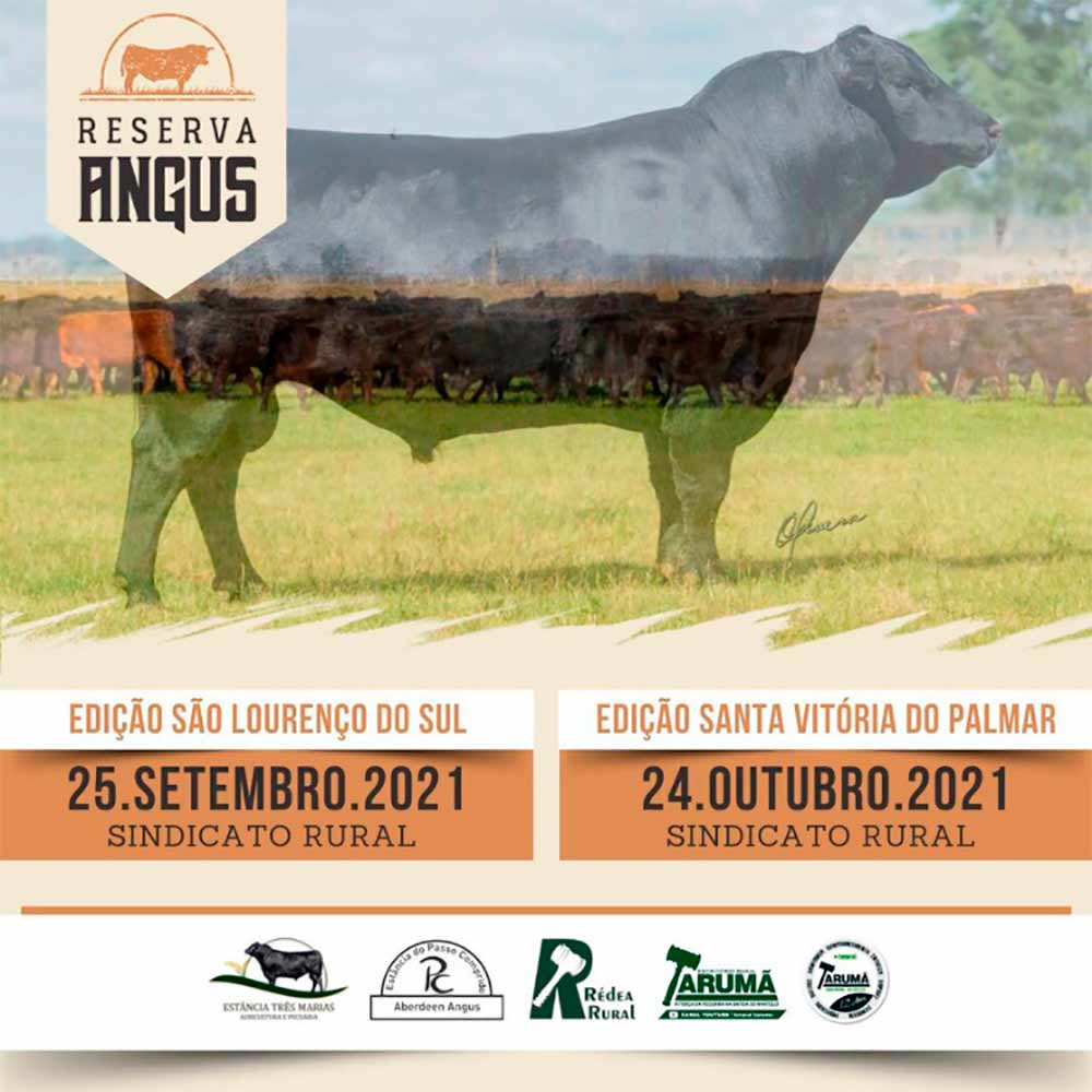 Chamada para o Reserva Angus 2021