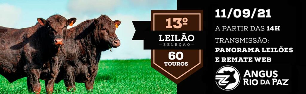 Banner do 13º Leilão Seleção Angus Rio da Paz