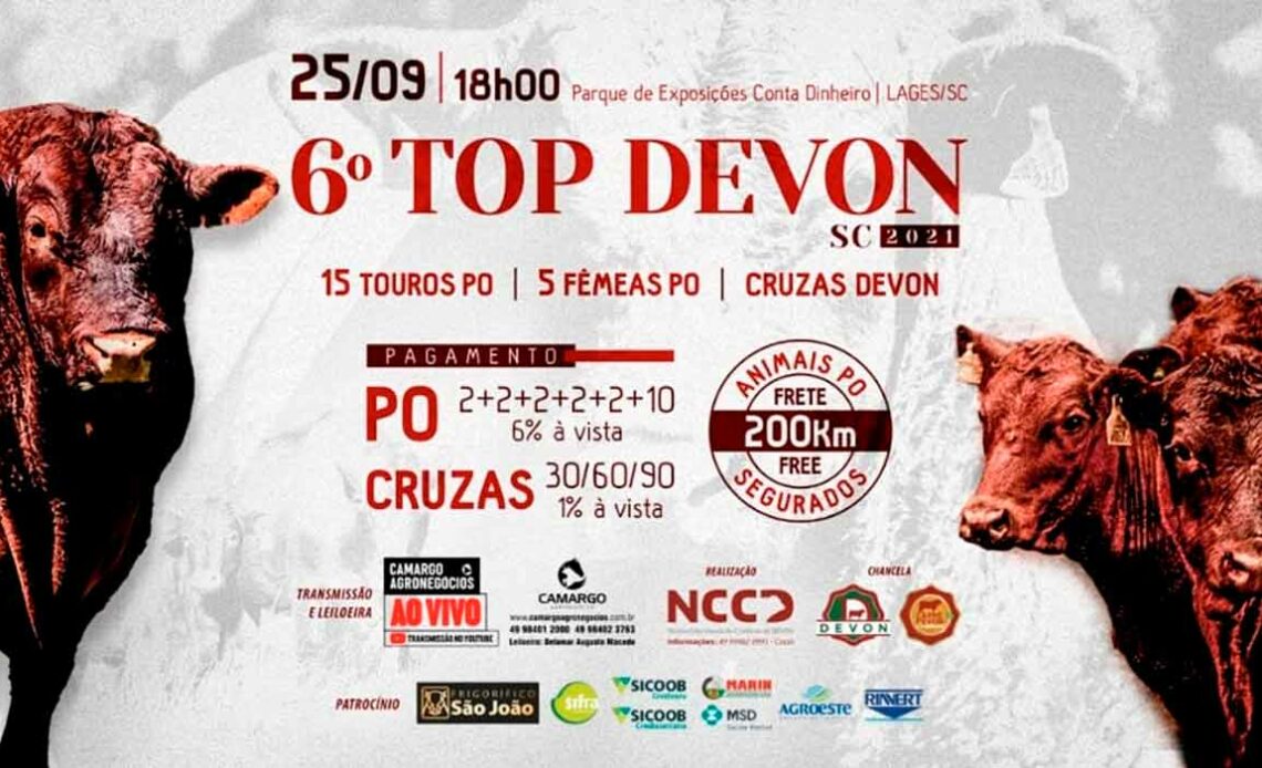 Chamada para o 6º Leilão Top Devon SC 2021