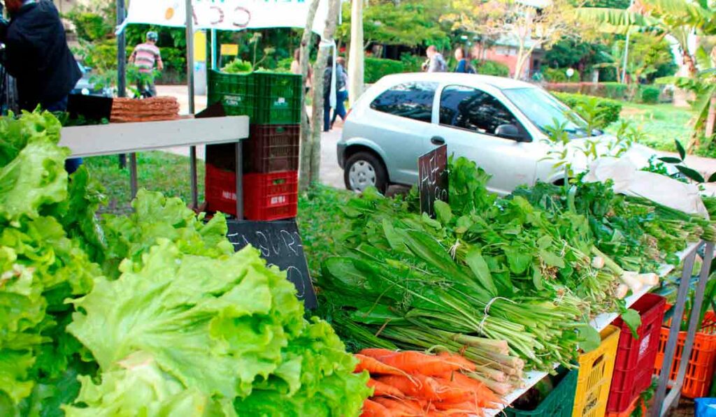 Feira orgânica em SC