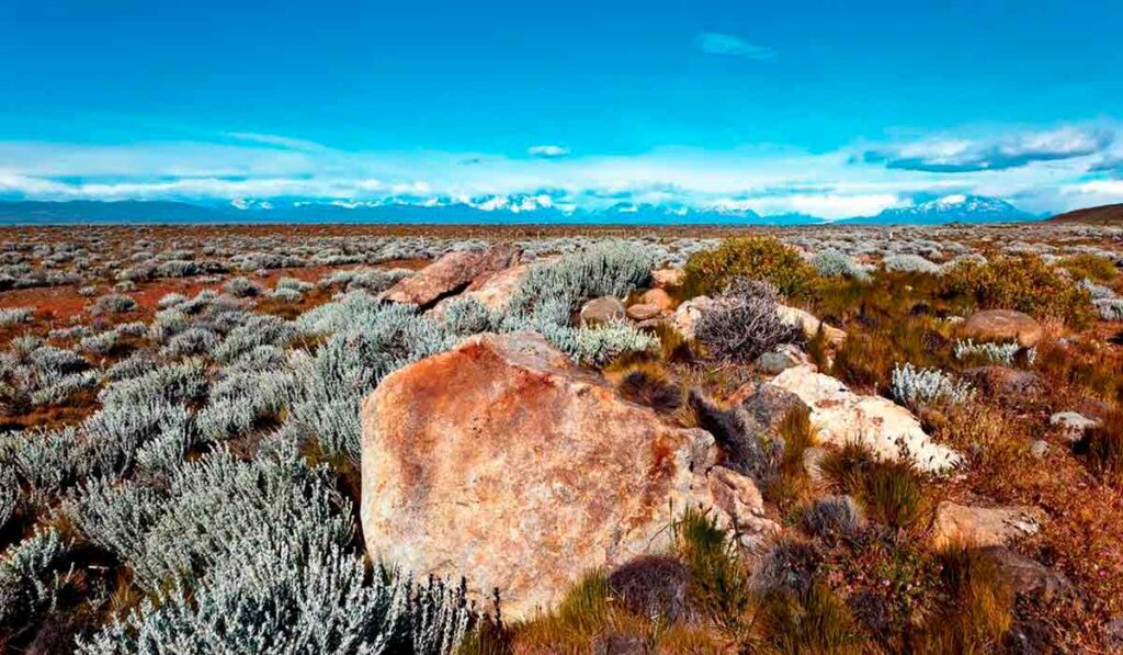 Regiões montanhosas e de clima frio, como a Patagônia, na Argentina, foram centros de surgimento de novas espécies no passado e hoje têm baixa diversidade - Foto: Luis Davilla/Getty Images