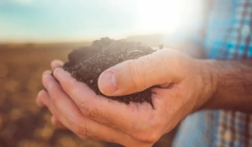 Agricultor com um punhado de solo nas mãos e sol ao fundo