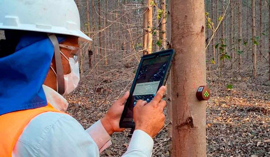 Sensor instalado no tronco da árvore