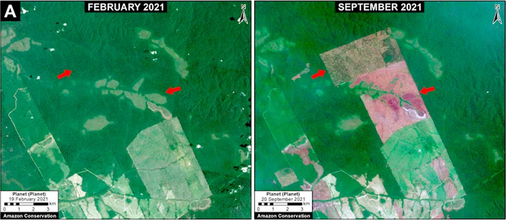 Desmatamento na Amazônia Legal perto da BR-230 (Rodovia Transamazônica) entre fevereiro (painel esquerdo) e setembro (painel direito) de 2021 - Dados: Planet