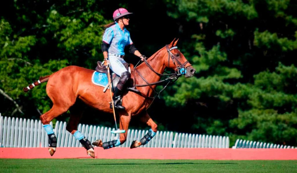 Cavalo de polo em ação