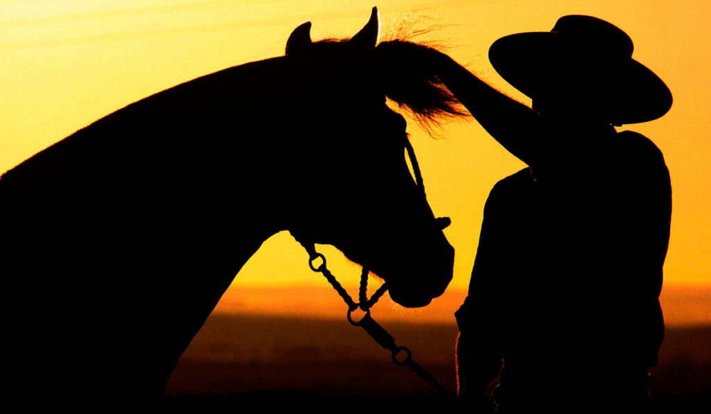 Gaúcho ajeitando a crina de seu cavalo crioulo