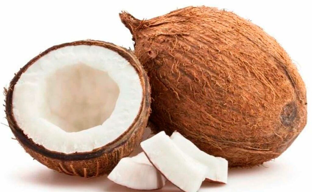 Coco, o fruto do coqueiro