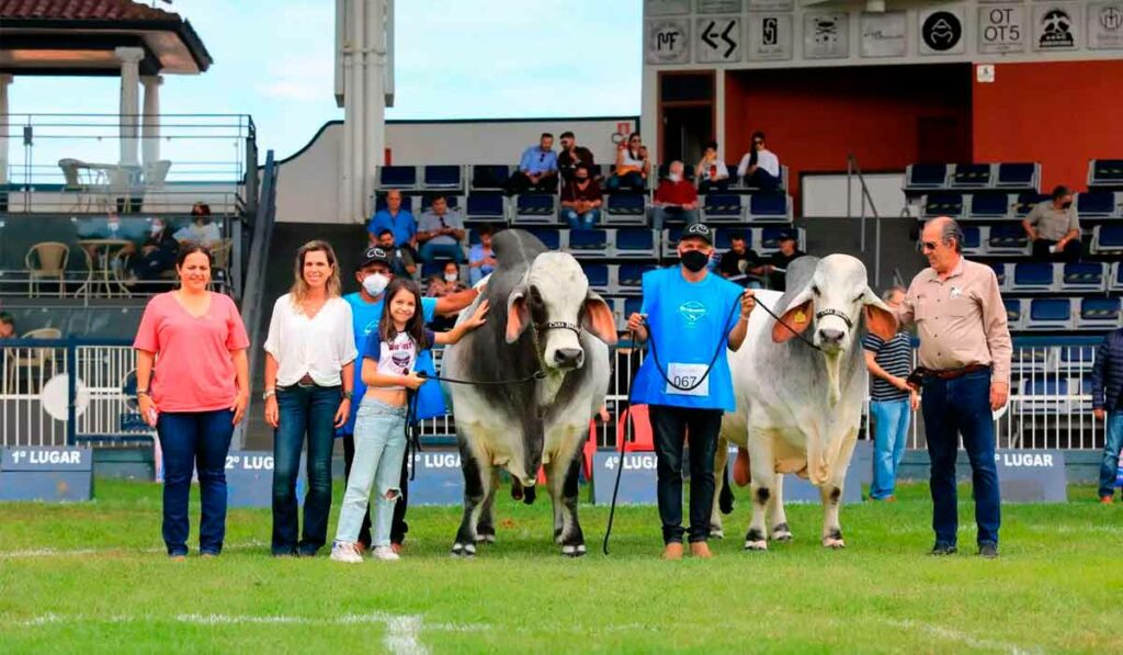 Campeões da ExpoBrahman 2021