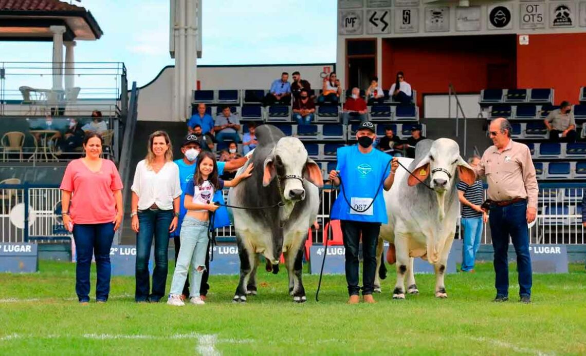 Campeões da ExpoBrahman 2021