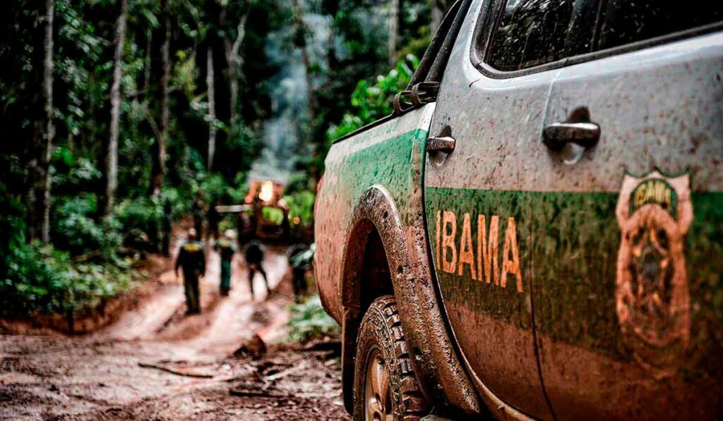 Equipe do IBAMA em operação de campo