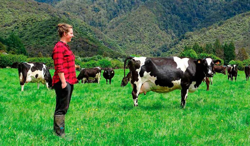 Jovem fazendeira no manejo do gado leiteiro