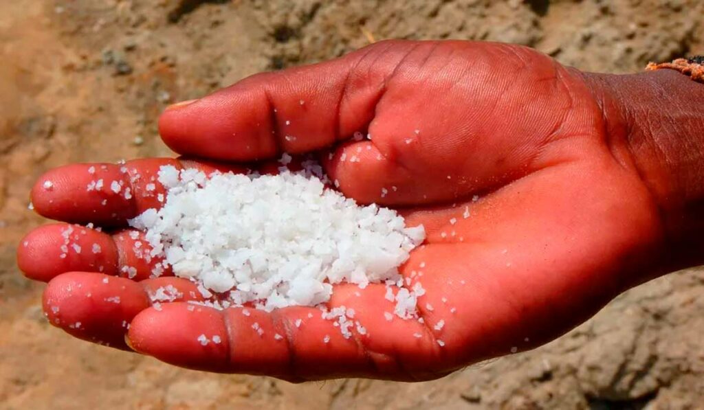 Criador com um punhado de sal mineral na mão