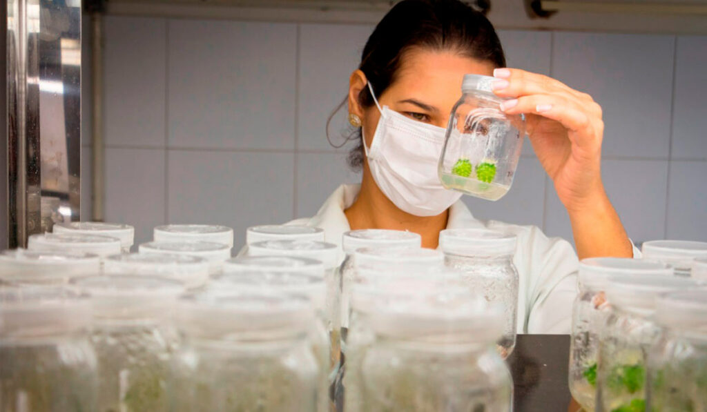 Pesquisadora no laboratório