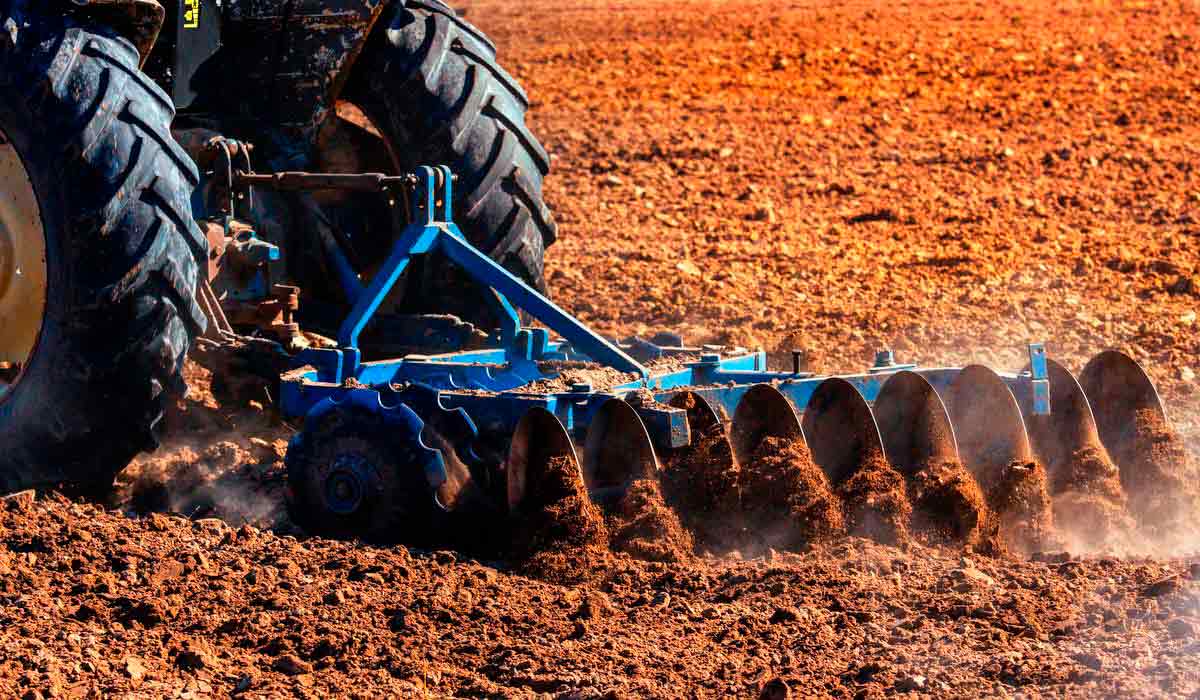 Como recuperar solos afetados por queimadas - RURALTECTV