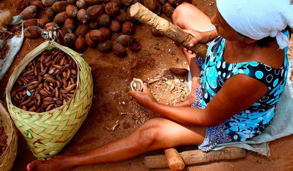 Quebradeira de coco