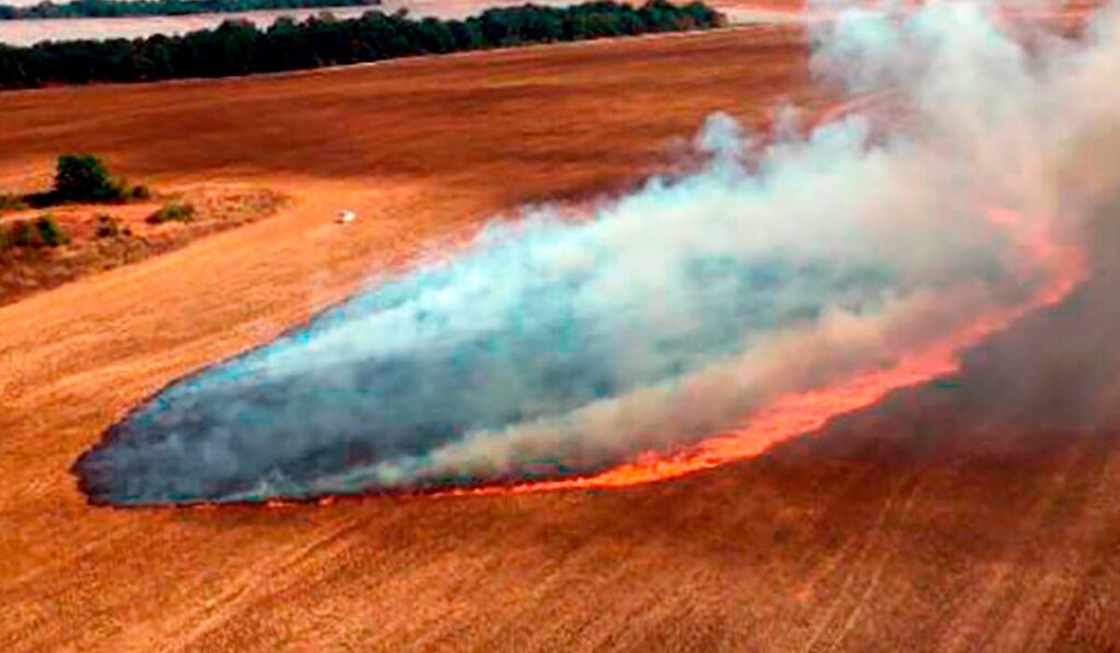 Área agricultável sendo queimada