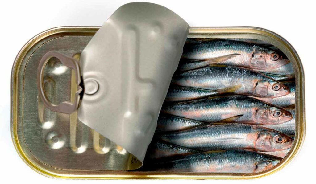 Sardinha enlatada