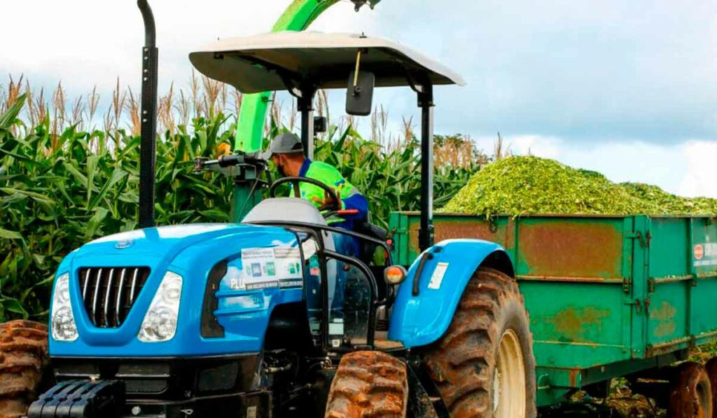 Tratorista manejando a picagem do milho para a carreta