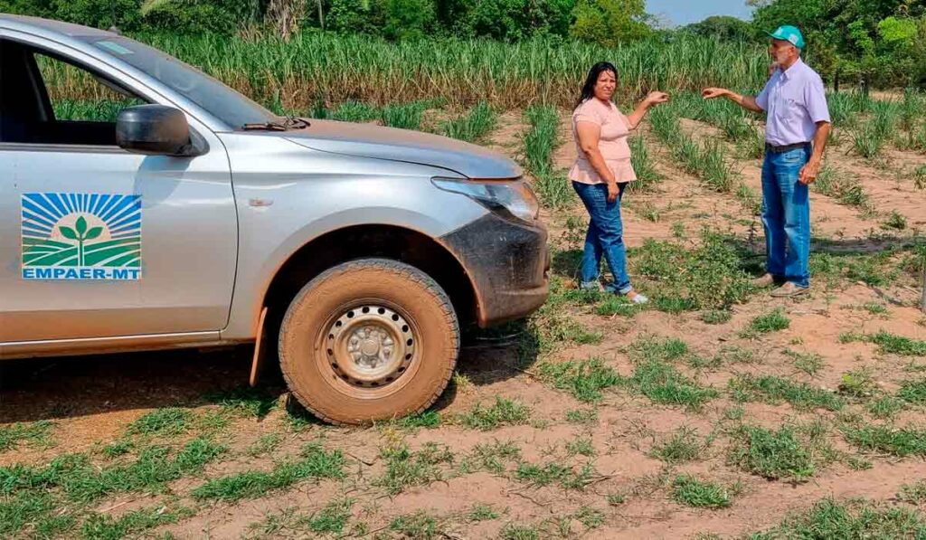 O zootecnista Fava e a produtora Rosenei de França Souza, proprietária do Sítio Nossa Senhora Aparecida, localizado no Assentamento Rural 21 de Abril, em Cuiabá - Foto por: Empaer