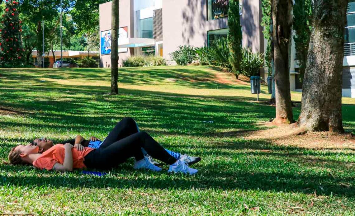 Pessoas relaxando em área arborizada