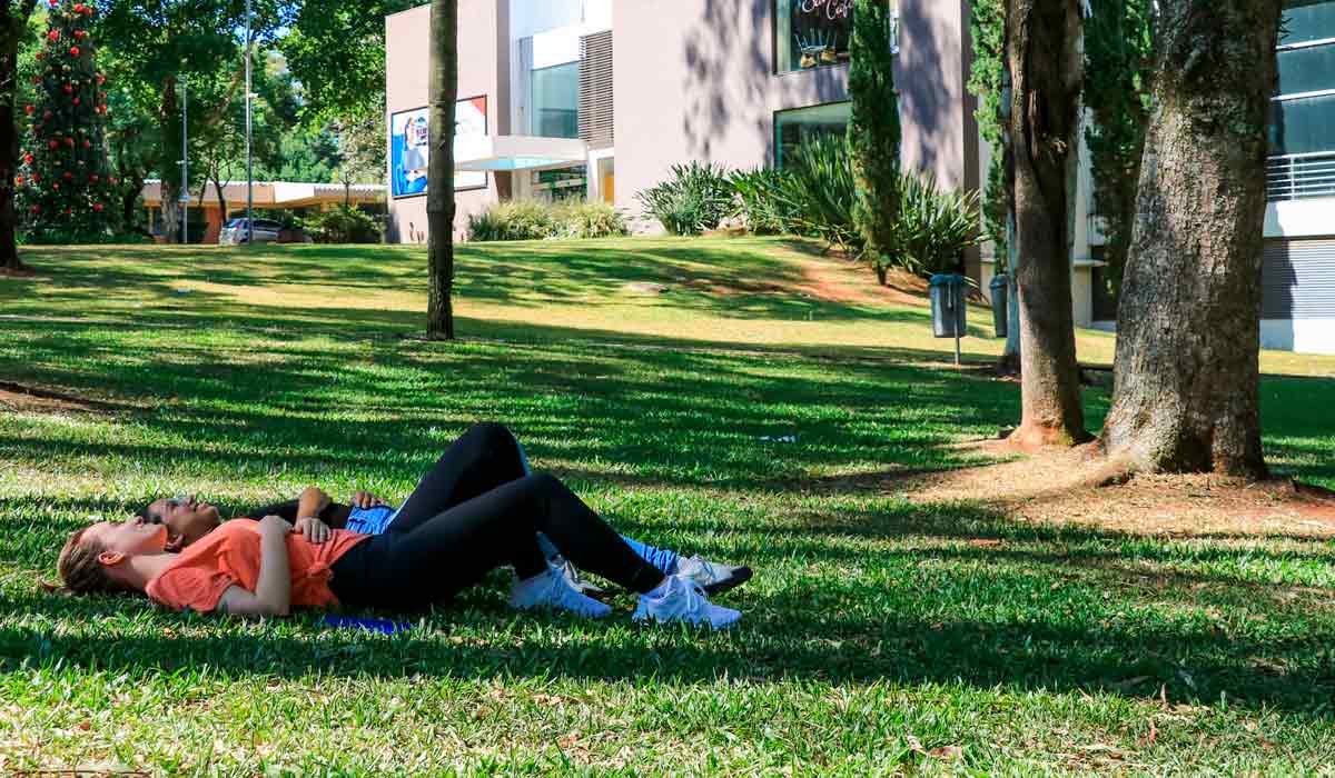 Pessoas relaxando em área arborizada