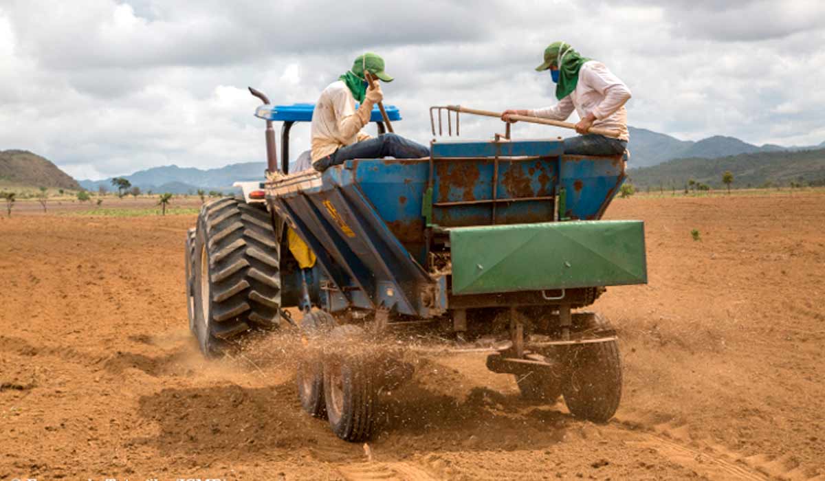 Plantio direto mecanizado (Fonte - Fernando Tatagiba/ICMBIO)