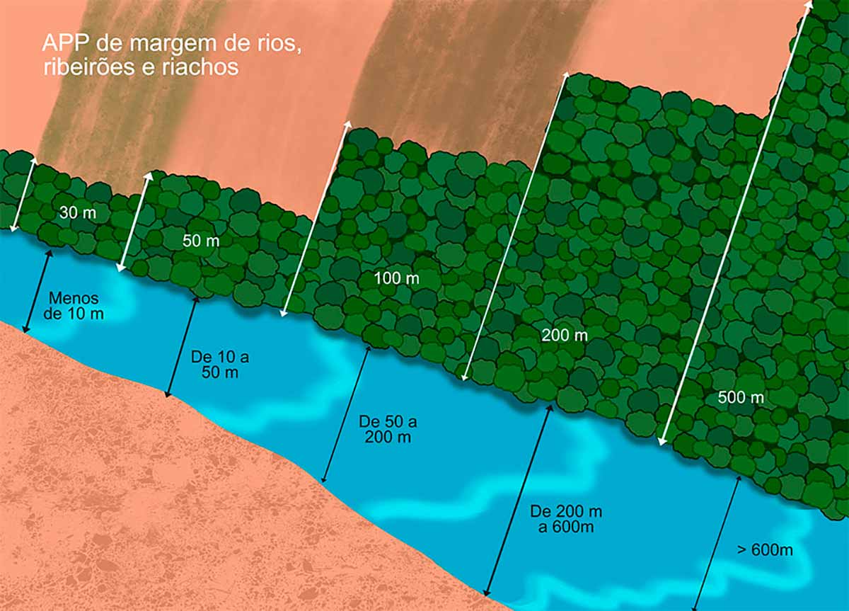 Ilustração da preservação de matas ciliares ao longo de cursos d'água