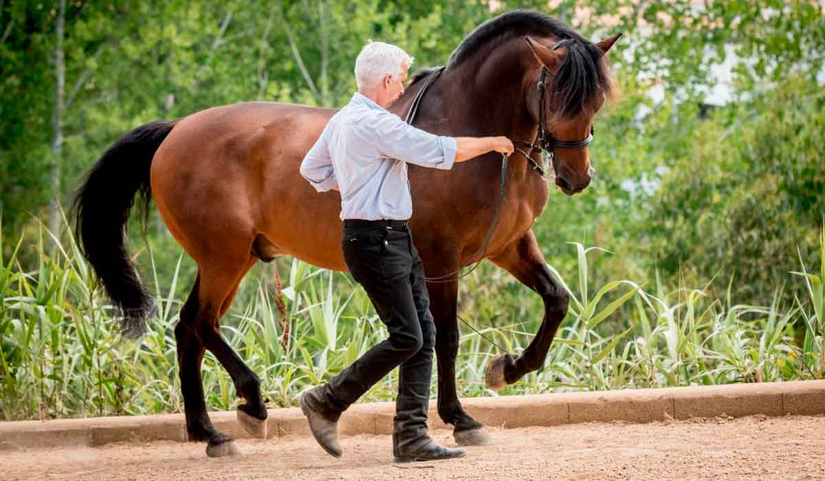 Andaluz com seu treinador