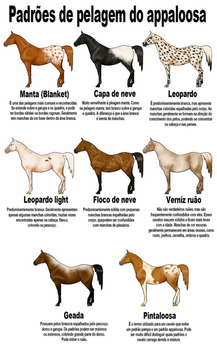 Pelagens do appaloosa