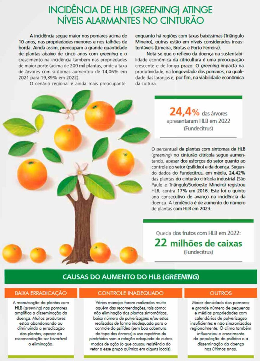 Greening - Fonte: Revista Hortifruti Brasil