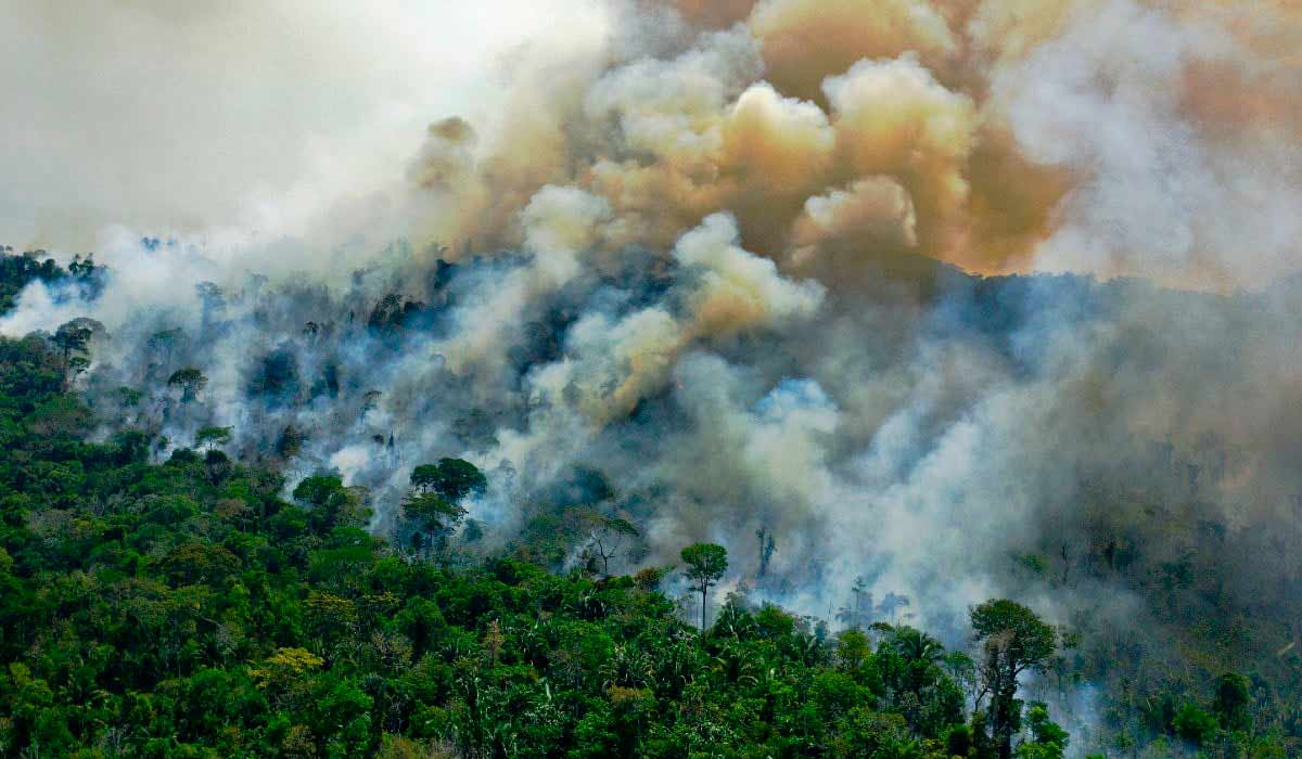 Incêndio florestal na Amazônia