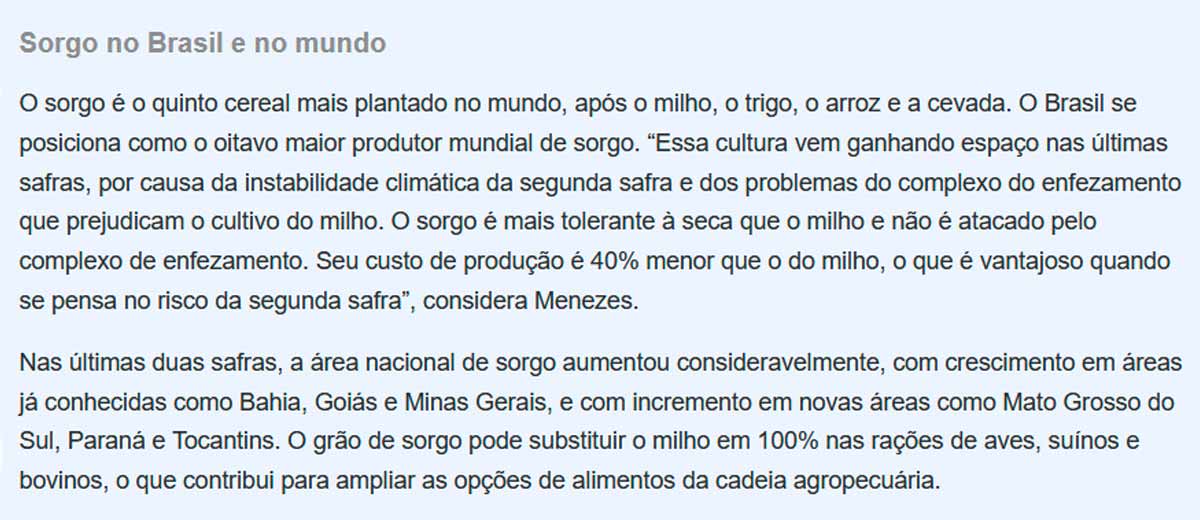 Texto sobre o sorgo