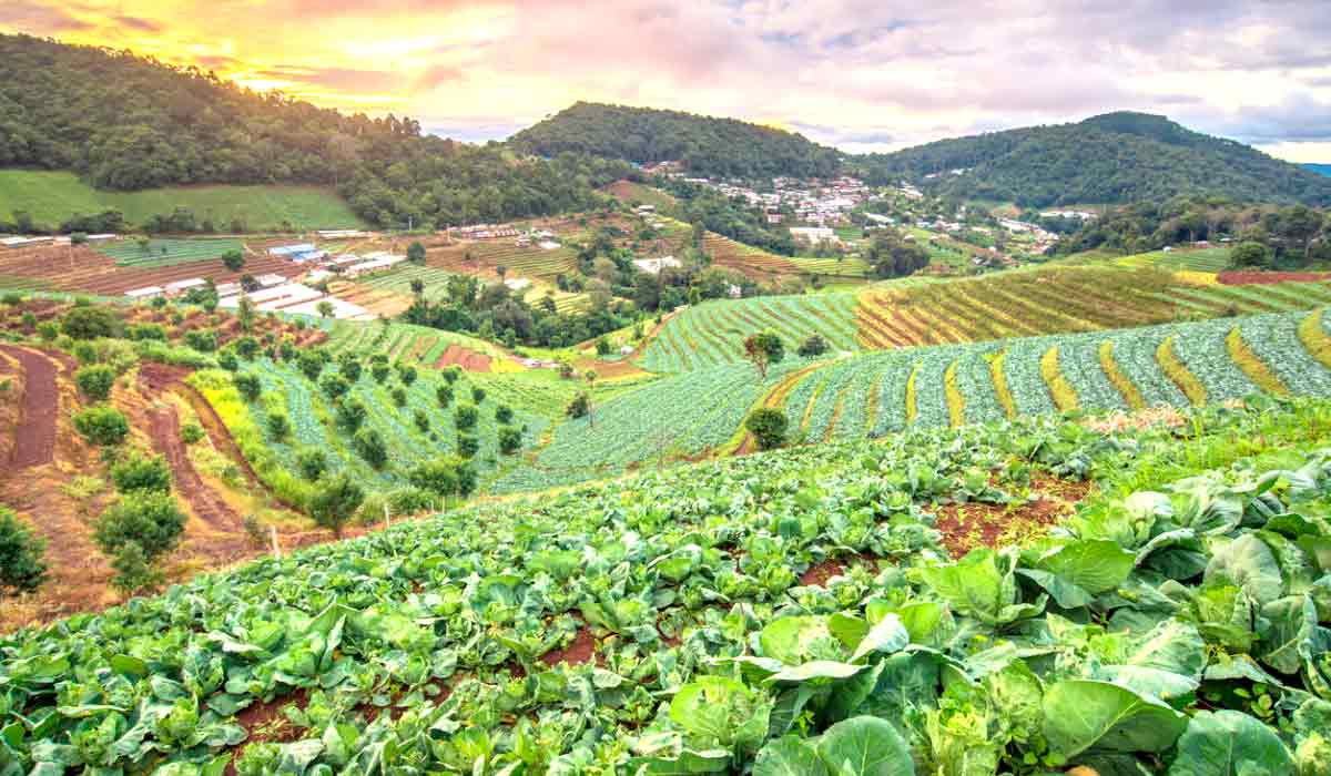 Área de produção agrícola sustentável