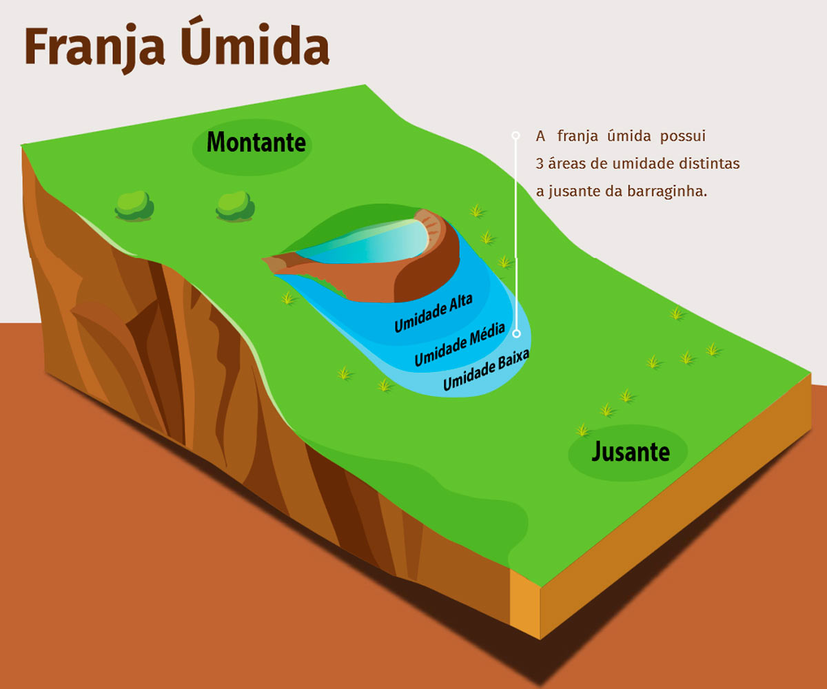 Franja úmida da barraginha