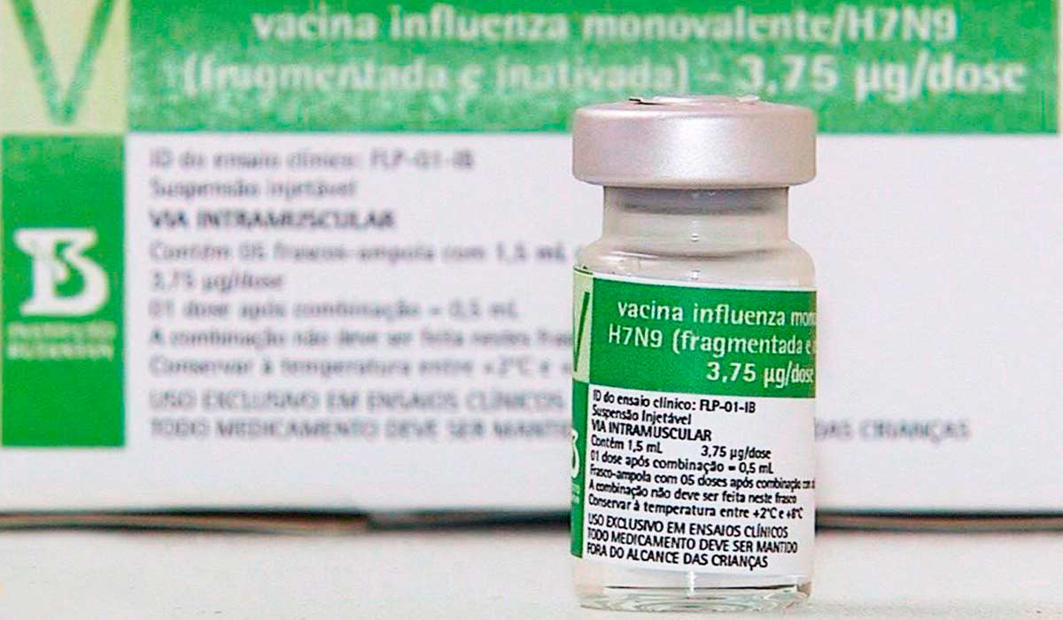 Vacina contra a influenza aviária (H7N9) (gripe aviária) em desenvolvimento no Butantan