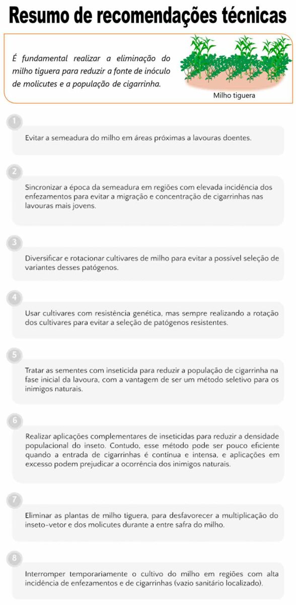 Resumo de recomendações técnicas