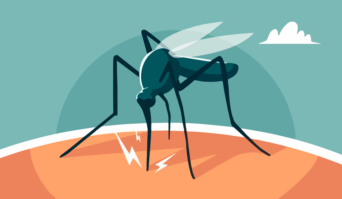 Ilustração do mosquito da dengue (Aedes aegypti)