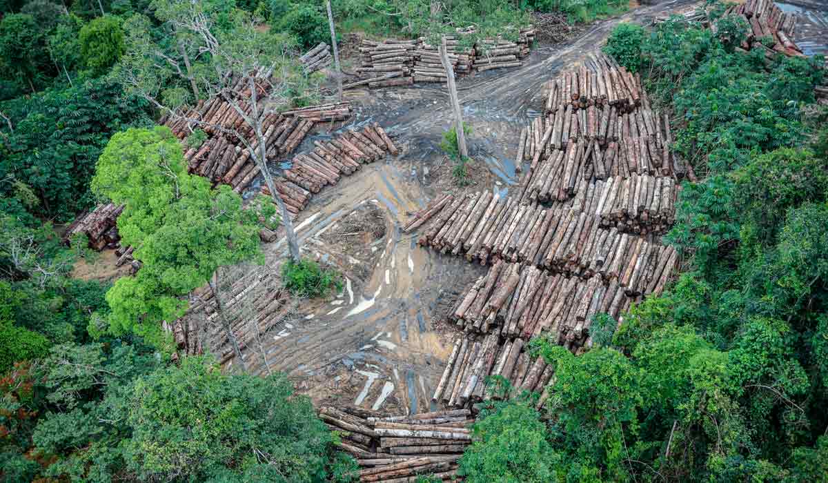 Desmatamento na floresta amazônica