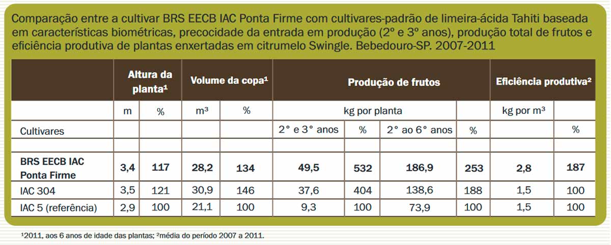 Tabela de comparação com cultivares de limeira ácida tahiti