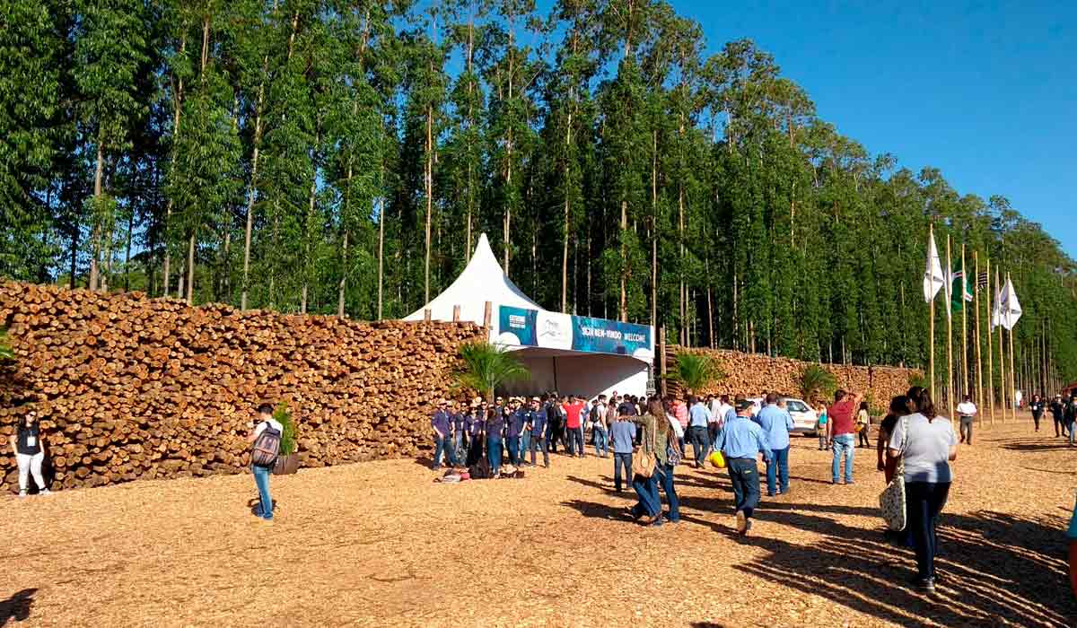 Entrada da Expoforest