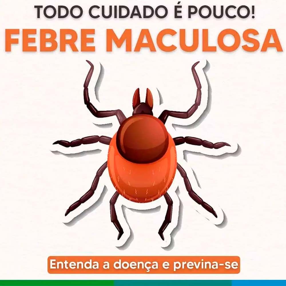 Alerta para a febre maculosa