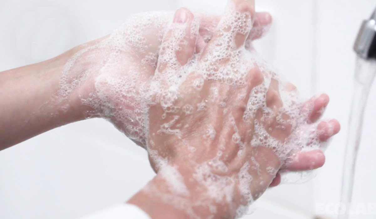 Lavando as mãos antes do trabalho de higienização dos alimentos